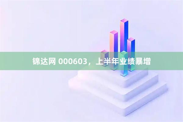 锦达网 000603，上半年业绩暴增